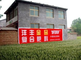 清镇如何让墙体广告展现最大化效果